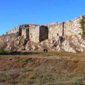 Tirins ( photo : F. Detry )