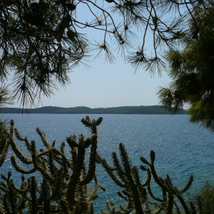 Promenade à Ermioni ( photo : F. Detry ) Promenade à Ermioni ( photo : F. Detry )