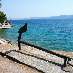 Promenade à Ermioni ( photo : F. Detry ) Promenade à Ermioni ( photo : F. Detry )