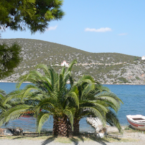 Promenade à Ermioni ( photo : F. Detry ) Promenade à Ermioni ( photo : F. Detry )
