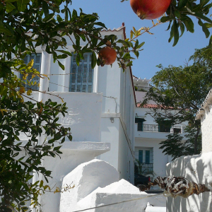 Promenade à Ermioni ( photo : F. Detry ) Promenade à Ermioni ( photo : F. Detry )