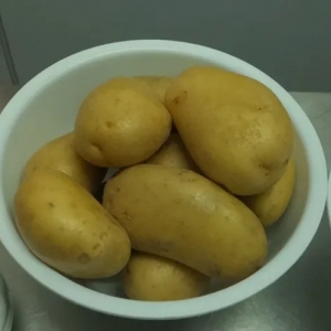 Patates