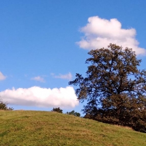 Un parcours sous le soleil