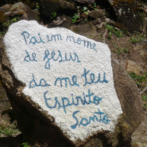 Dans le parc du monastère de l'Annonciation, résidence de Dom Rixen à Goias ( Photo F. Detry )