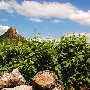 11 Solutré – Pouilly – Vergisson (Saône-et-Loire)