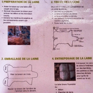 Solvent Verviers ( photo : F. Detry )