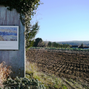Auvers sur Oise.  ( photo : F. Detry )