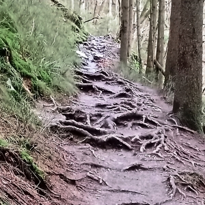 Un parcours piégeux ( Photo Detry )