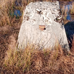 Une borne géodésique