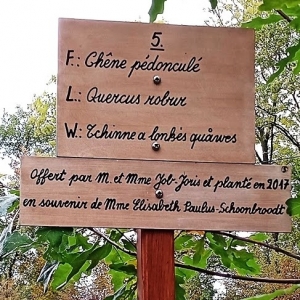 Promenade du "Thier des Oies"