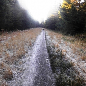 La Vecquée