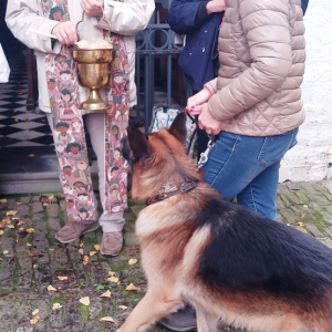 La bénédiction des petits animaux ( photo : F. Detry )