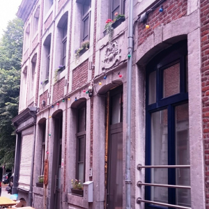 16 Le quartier de "L'Ane rouge"