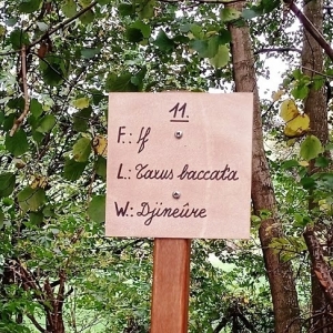 Promenade du "Thier des Oies"