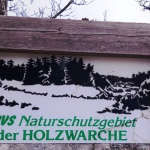 Holzxwarche 2023 ( Photo :F. Detry )