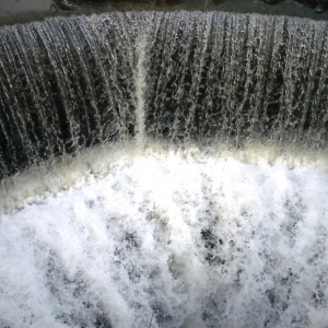2010-01-17 Lac de Warfaaz ( Photo : F. Detry ) 2010-01-17 Lac de Warfaaz ( Photo : F. Detry )