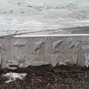 2010-01-17 Lac de Warfaaz ( Photo : F. Detry ) 2010-01-17 Lac de Warfaaz ( Photo : F. Detry )