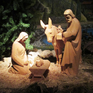 Krippana 2018 (  photo : F. Detry )