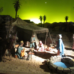 Krippana 2018 (  photo : F. Detry )