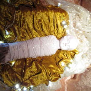 Krippana 2018 (  photo : F. Detry )