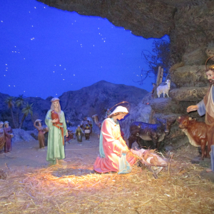 Krippana 2018 (  photo : F. Detry )