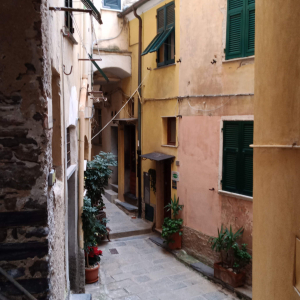 Noël à Riomaggiore ( photo : F. Detry )