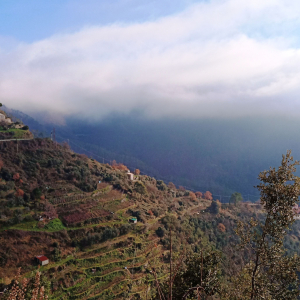 Noël à Riomaggiore ( photo : F. Detry )