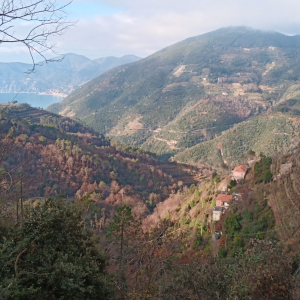 Noël à Riomaggiore ( photo : F. Detry )