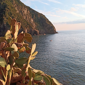 Noël à Riomaggiore ( photo : F. Detry )