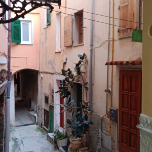 Noël à Riomaggiore ( photo : F. Detry )
