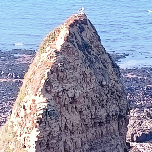 POINTE  DU  HOC   ( Photo F. Detry ) 