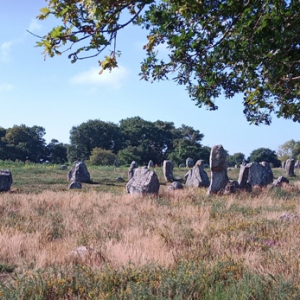 Carnac / France ( photo François DETRY )