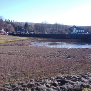 2023-02-13 Lac de Warfaaz ( Photo : F. Detry ) 2023-02-13 Lac de Warfaaz ( Photo : F. Detry )