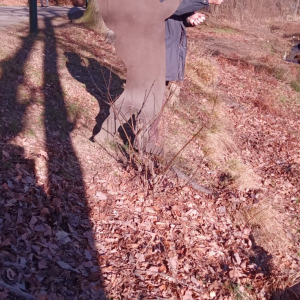 2023-02-13 Lac de Warfaaz ( Photo : F. Detry ) 2023-02-13 Lac de Warfaaz ( Photo : F. Detry )