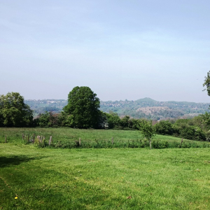 Vue des derniers terrils