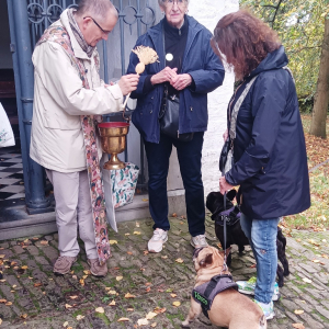 La bénédiction des petits animaux ( photo : F. Detry )