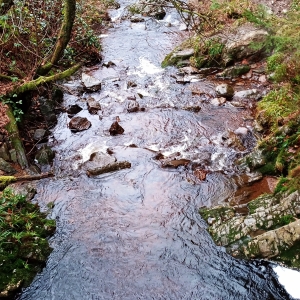 Le Pouhon des Cuves ( Photo Detry 