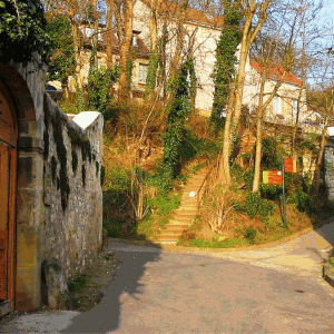 Escalier d' Auvers ( Van Gogh )