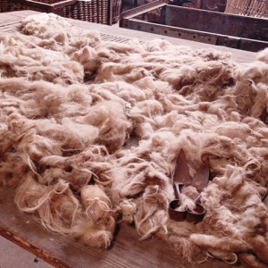 Solvent Verviers ( photo : F. Detry )