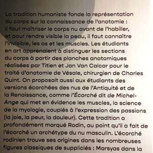 Les écorchés