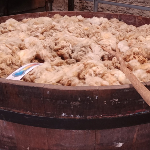 Solvent Verviers ( photo : F. Detry )