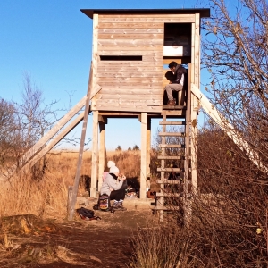Un observatoire
