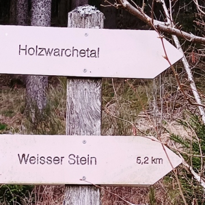 Holzxwarche 2023 ( Photo :F. Detry )