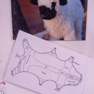 Solvent Verviers ( photo : F. Detry )