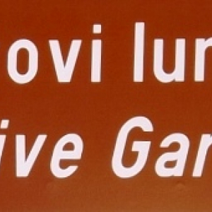 Les oliveraies de Lun ( photo : F. Detry ) Les oliveraies de Lun ( photo : F. Detry )