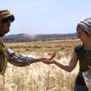 2) Ali Shakaiteer et le Dr Amaia Arranz-Otaegui échantillonnent des céréales dans la région où le pain a été découvert