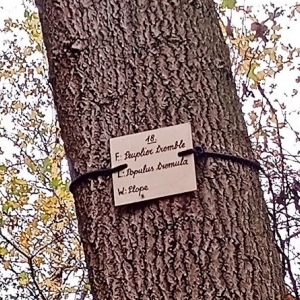 Promenade du "Thier des Oies"