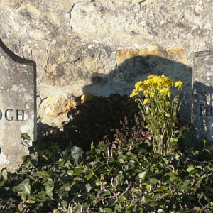 Cimetière d'Auvers sur Oise  ( photo : F. Detry )