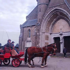 Bénédiction des chevaux ( photo : F. Detry )