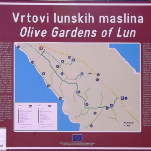 Les oliveraies de Lun Les oliveraies de Lun